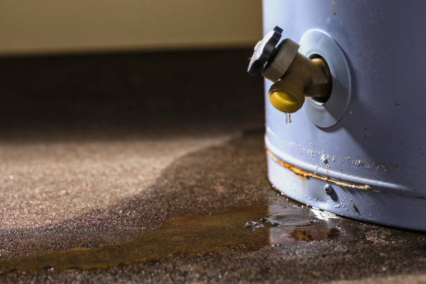 Best 24/7 water damage repair  in Cochituate, MA