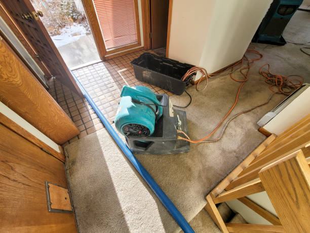 Best Water damage contractors near me  in Cochituate, MA