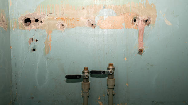 Best Water damage restoration experts  in Cochituate, MA