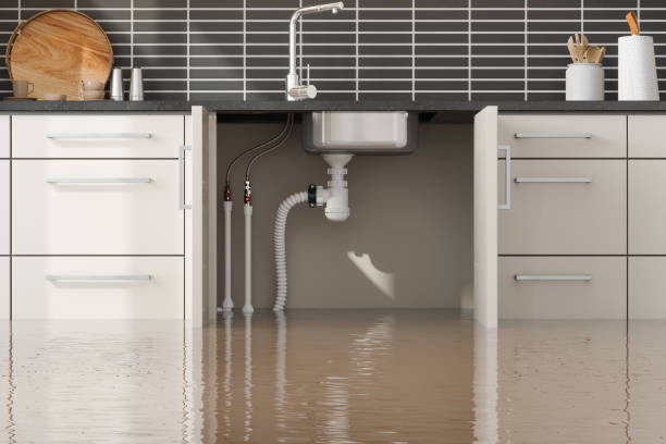 Best Sewage cleanup and water damage restoration  in Cochituate, MA