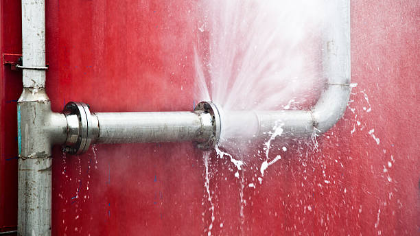 Best Water damage cleanup near me  in Cochituate, MA